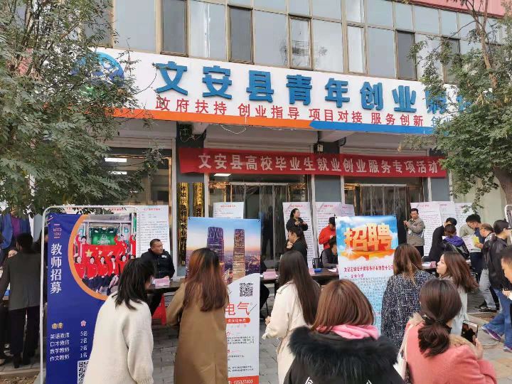公司招聘